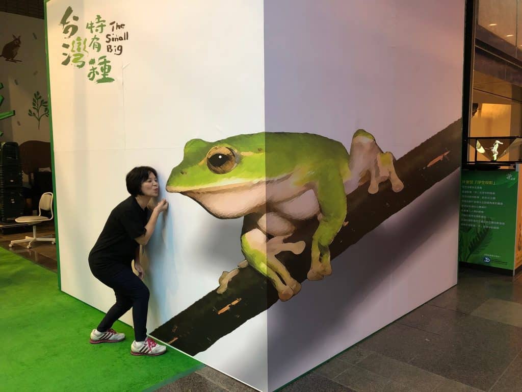 3D錯視畫 - 尼歐數位