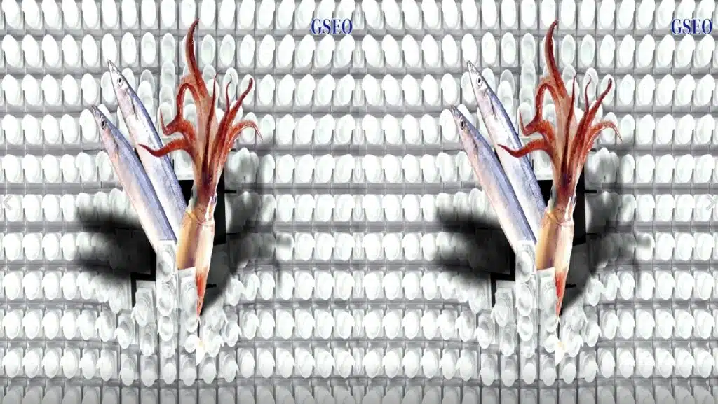 3D拍攝
